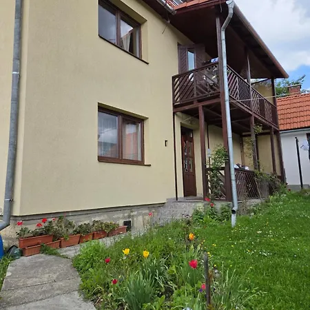 Guest house Pensiunea Panorama Borsec